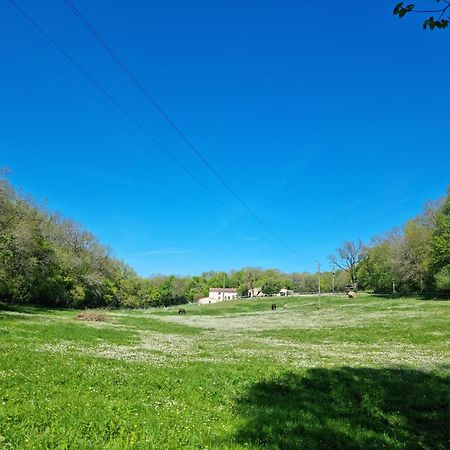 Un gîte en Charente Roullet-Saint-Estephe Buitenkant foto