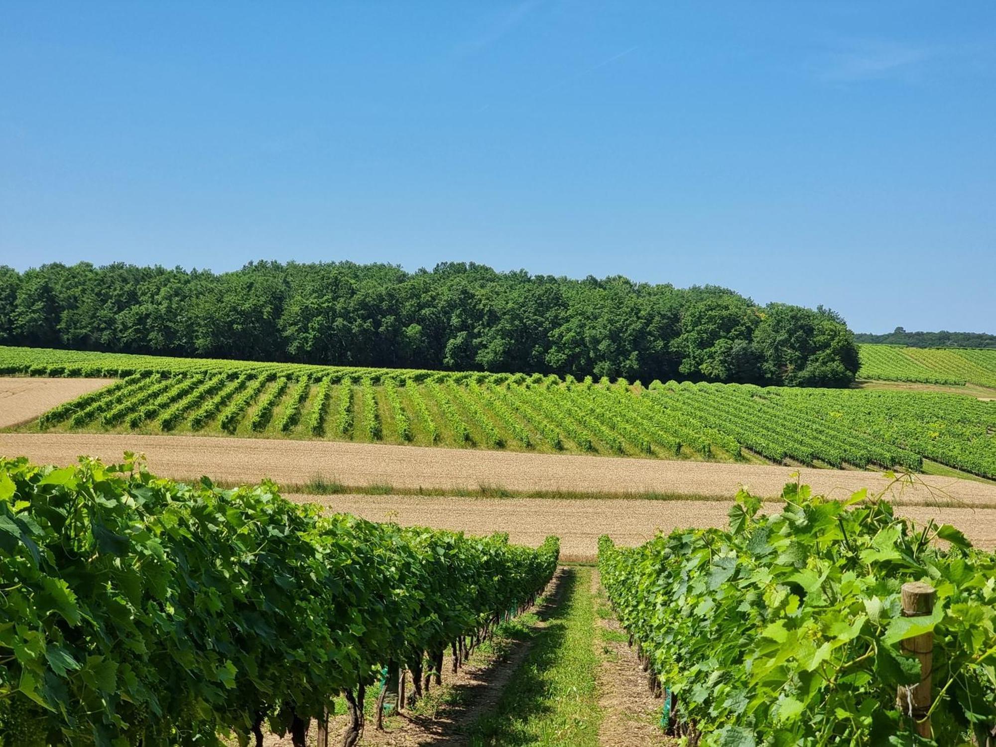 Un gîte en Charente Roullet-Saint-Estephe Buitenkant foto